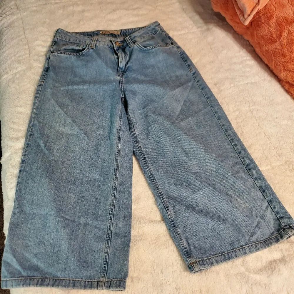 Zara capris pants
